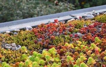 the cost of Rookhope green roof installation