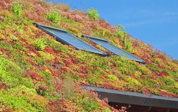 Rookhope living roof systems